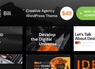 Bili Theme WordPress pour agence creative
