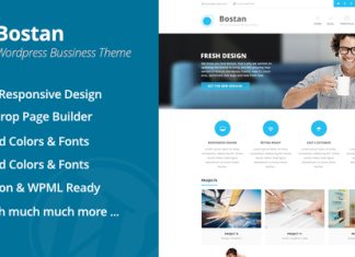 Bostan Theme professionnel