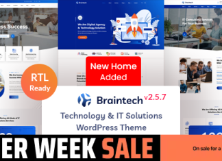 Braintech Theme WordPress pour les solutions technologiques et informatiques