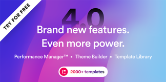 Brisk Theme WordPress Polyvalent Elementor