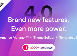 Brisk Theme WordPress Polyvalent Elementor