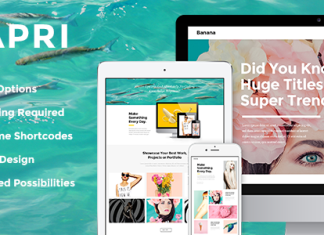 Capri Theme de Portfolio Creatif