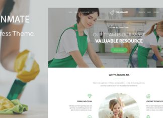 CleanMate Theme de nettoyage WordPress