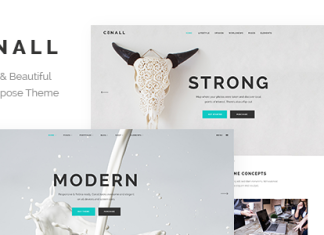 Conall Theme polyvalent propre