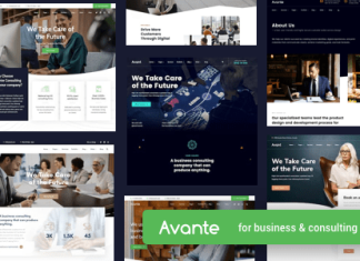 Consulting dentreprise Avante WordPress