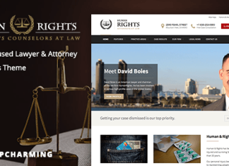 Droits de lhomme Theme WordPress avocat et avocat