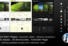 Echos Theme Wordpress