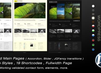 Echos Theme Wordpress