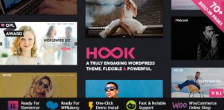 Hook Theme WordPress Superieur