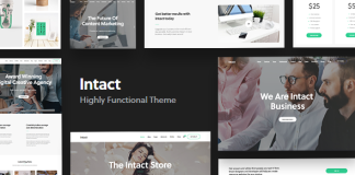 Intact Theme WordPress Polyvalent