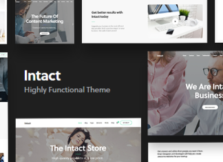 Intact Theme WordPress Polyvalent
