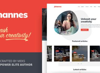 Johannes Theme de blog personnel pour auteurs et editeurs