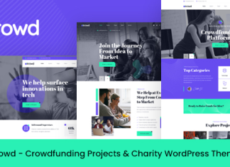 Krowd Theme WordPress de financement participatif et de charite