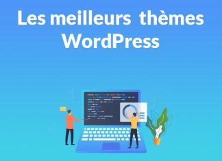 Le Guide Ultime des Meilleurs Themes WordPress en 2024