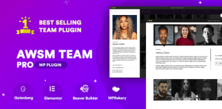 Le plugin WordPress The Team Pro Vitrine dequipe