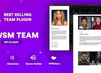 Le plugin WordPress The Team Pro Vitrine dequipe