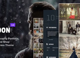 Lune Theme de portfolio de photographie pour WordPress