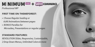 MINIMUM Theme WordPress Professionnel