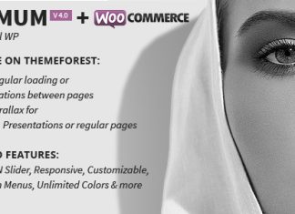 MINIMUM Theme WordPress Professionnel