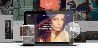 Moose Theme polyvalent creatif