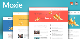 Moxie Theme Responsive pour WordPress