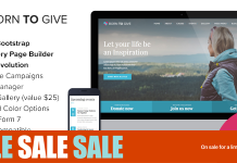 Ne pour donner Theme WordPress reactif de crowdfunding caritatif