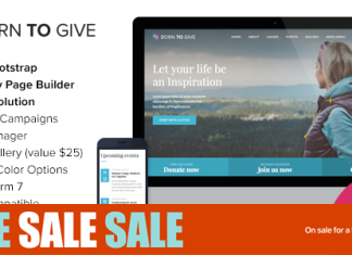 Ne pour donner Theme WordPress reactif de crowdfunding caritatif