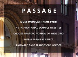 Passage Theme polyvalent responsive retina multi usage
