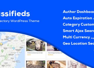 Petites annonces – thème WordPress pour les annonces classées Petites annonces theme WordPress pour les annonces classees