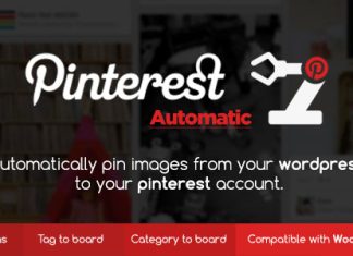 Plugin WordPress Pinterest Automatic Pin