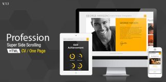 Profession Theme de CV dune page