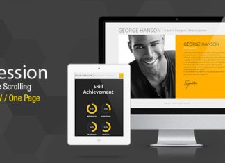 Profession Theme de CV dune page