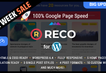 Reco – Thème AMP Minimaliste et Léger pour les Ressources Gratuites Reco Theme AMP Minimaliste et Leger pour les Ressources