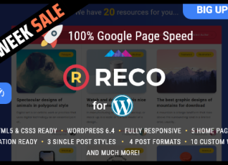 Reco Theme AMP Minimaliste et Leger pour les Ressources