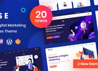 Ryse Theme SEO et Marketing Digital