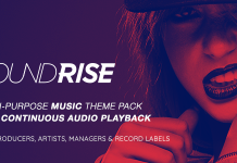 SoundRise Theme WordPress pour artistes producteurs et labels de