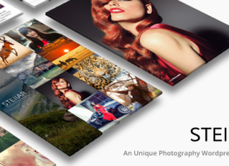 Stellar Photographie WordPress