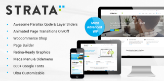 Strata Theme polyvalent professionnel