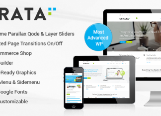 Strata Theme polyvalent professionnel