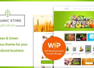 Theme WordPress Organic Store Eco Products Shop RTL