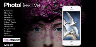 Theme WordPress PhotoReactive