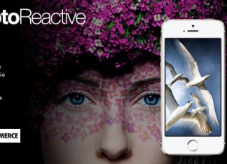 Theme WordPress PhotoReactive