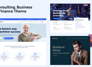 Theme WordPress de Consultance Conseil en Affaires