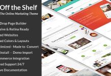 Theme WordPress de marketing en ligne Pret a lemploi