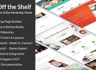 Theme WordPress de marketing en ligne Pret a lemploi
