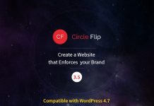 Theme WordPress polyvalent Circle Flip Responsive