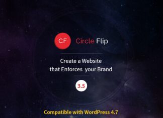 Theme WordPress polyvalent Circle Flip Responsive