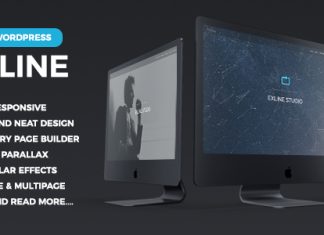Theme WordPress polyvalent Onepage Elementor Exline
