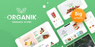 Theme WordPress pour magasin daliments biologiques Organik