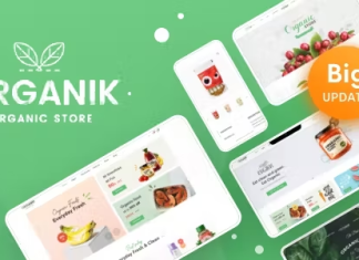 Theme WordPress pour magasin daliments biologiques Organik